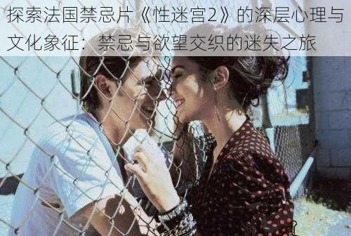 探索法国禁忌片《性迷宫2》的深层心理与文化象征:禁忌与欲望交织的迷失之旅