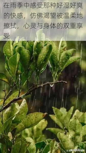 在雨季中感受那种好湿好爽的快感，仿佛渴望被温柔地擦拭，心灵与身体的双重享受