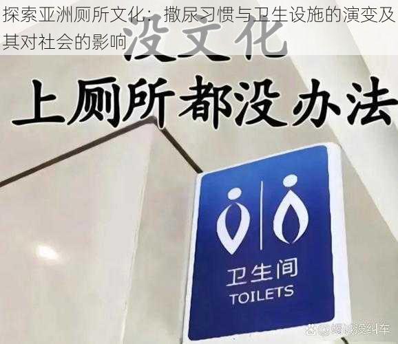 探索亚洲厕所文化:撒尿习惯与卫生设施的演变及其对社会的影响