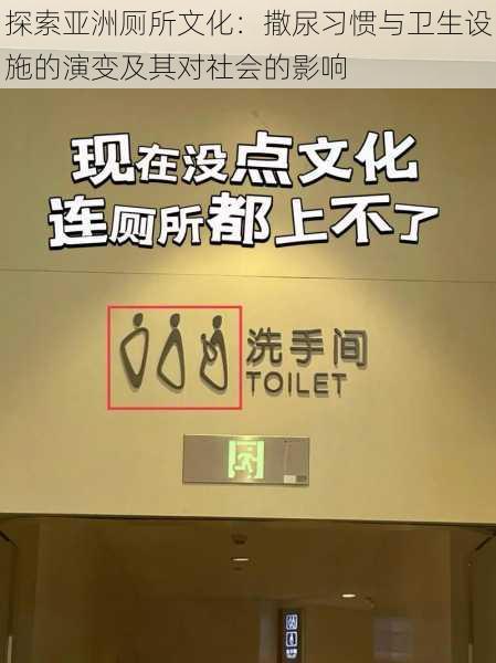 探索亚洲厕所文化:撒尿习惯与卫生设施的演变及其对社会的影响