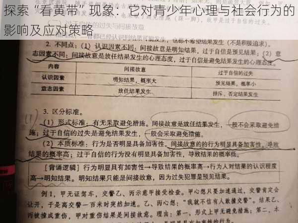 探索“看黄带”现象:它对青少年心理与社会行为的影响及应对策略