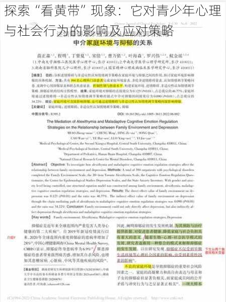 探索“看黄带”现象:它对青少年心理与社会行为的影响及应对策略