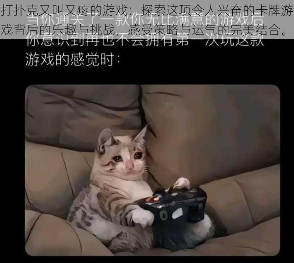打扑克又叫又疼的游戏:探索这项令人兴奋的卡牌游戏背后的乐趣与挑战,感受策略与运气的完美结合。