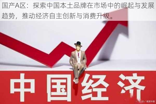 国产A区:探索中国本土品牌在市场中的崛起与发展趋势,推动经济自主创新与消费升级。