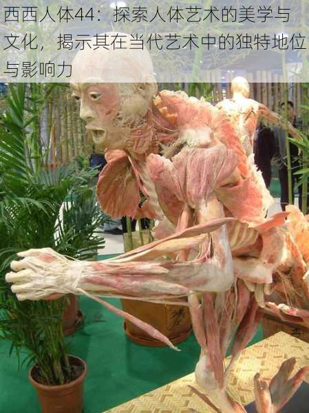 西西人体44:探索人体艺术的美学与文化,揭示其在当代艺术中的独特地位与影响力