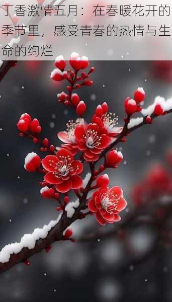 丁香激情五月:在春暖花开的季节里,感受青春的热情与生命的绚烂