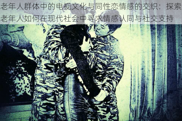 老年人群体中的电视文化与同性恋情感的交织:探索老年人如何在现代社会中寻求情感认同与社交支持