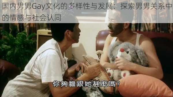 国内男男Gay文化的多样性与发展:探索男男关系中的情感与社会认同