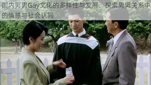 国内男男Gay文化的多样性与发展:探索男男关系中的情感与社会认同