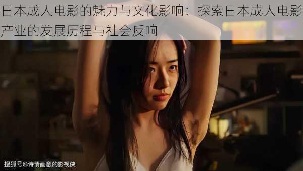 日本成人电影的魅力与文化影响:探索日本成人电影产业的发展历程与社会反响