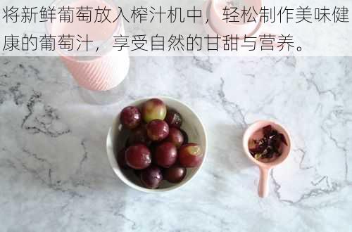 将新鲜葡萄放入榨汁机中,轻松制作美味健康的葡萄汁,享受自然的甘甜与营养。