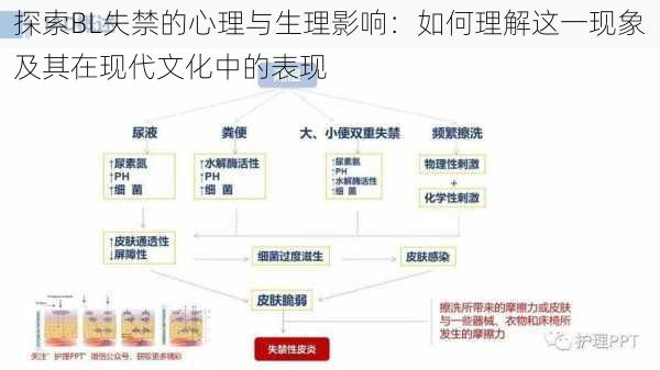 探索BL失禁的心理与生理影响:如何理解这一现象及其在现代文化中的表现