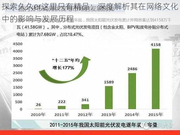 探索久久er这里只有精品:深度解析其在网络文化中的影响与发展历程