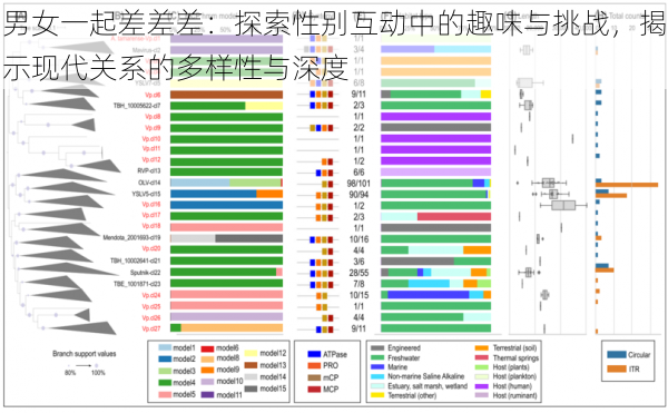 男女一起差差差:探索性别互动中的趣味与挑战,揭示现代关系的多样性与深度
