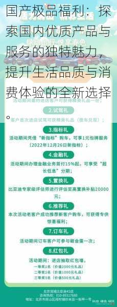 国产极品福利:探索国内优质产品与服务的独特魅力,提升生活品质与消费体验的全新选择。