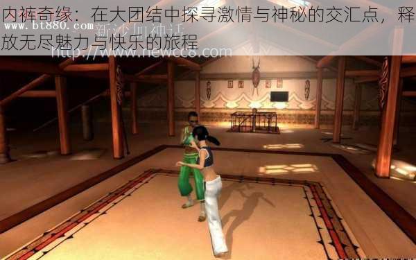 内裤奇缘:在大团结中探寻激情与神秘的交汇点,释放无尽魅力与快乐的旅程