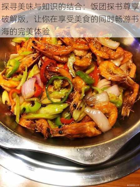 探寻美味与知识的结合:饭团探书尊享破解版,让你在享受美食的同时畅游书海的完美体验