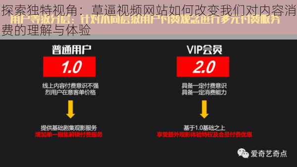 探索独特视角:草逼视频网站如何改变我们对内容消费的理解与体验