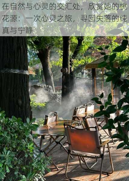 在自然与心灵的交汇处,欣赏她的桃花源:一次心灵之旅,寻回失落的纯真与宁静