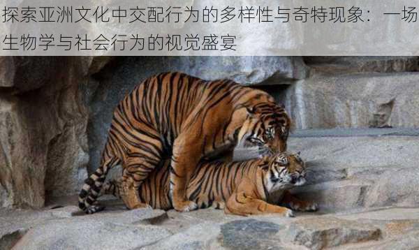 探索亚洲文化中交配行为的多样性与奇特现象:一场生物学与社会行为的视觉盛宴