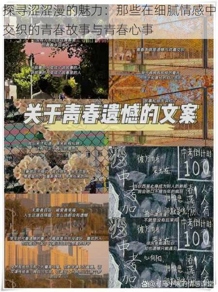 探寻涩涩漫的魅力:那些在细腻情感中交织的青春故事与青春心事