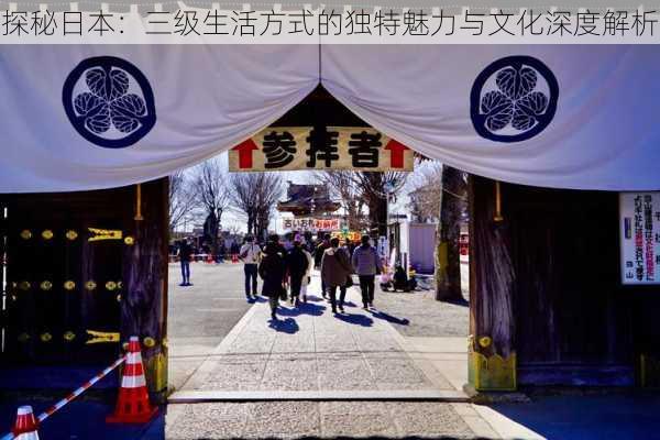 探秘日本:三级生活方式的独特魅力与文化深度解析