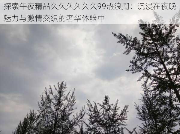 探索午夜精品久久久久久久99热浪潮:沉浸在夜晚魅力与激情交织的奢华体验中