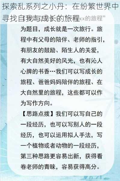 探索乱系列之小丹:在纷繁世界中寻找自我与成长的旅程