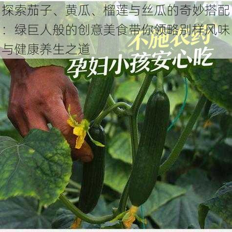 探索茄子、黄瓜、榴莲与丝瓜的奇妙搭配:绿巨人般的创意美食带你领略别样风味与健康养生之道