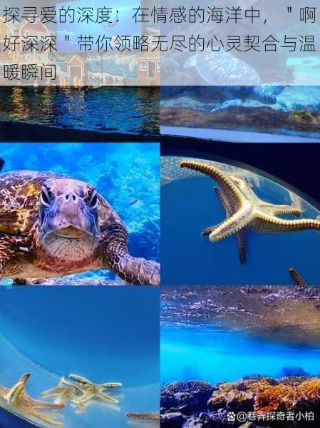 探寻爱的深度:在情感的海洋中,"啊好深深"带你领略无尽的心灵契合与温暖瞬间