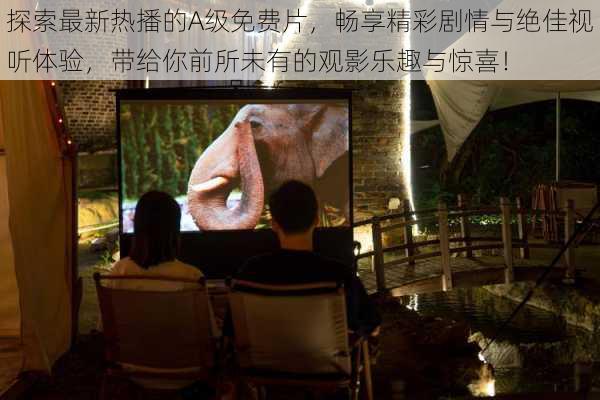 探索最新热播的A级免费片,畅享精彩剧情与绝佳视听体验,带给你前所未有的观影乐趣与惊喜!
