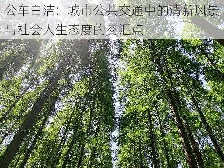 公车白洁:城市公共交通中的清新风景与社会人生态度的交汇点