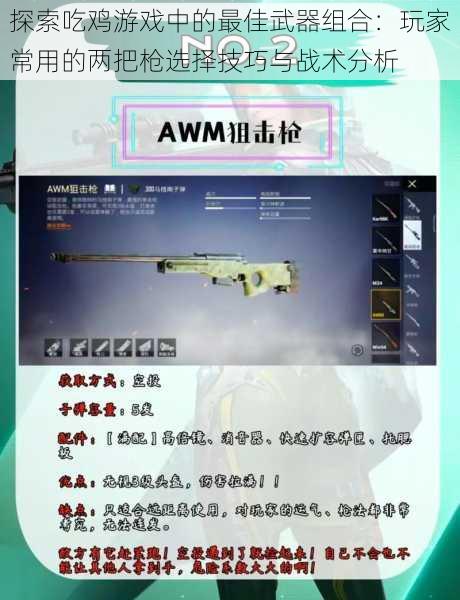 探索吃鸡游戏中的最佳武器组合:玩家常用的两把枪选择技巧与战术分析