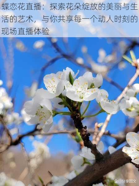 蝶恋花直播:探索花朵绽放的美丽与生活的艺术,与你共享每一个动人时刻的现场直播体验