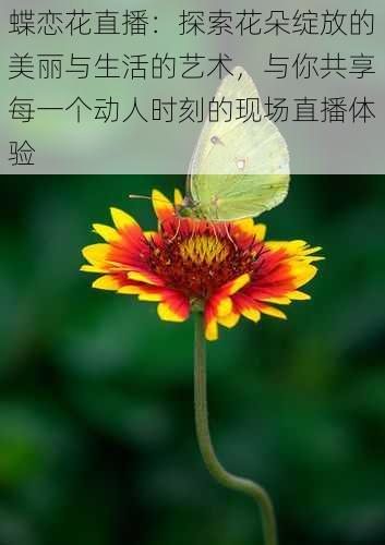 蝶恋花直播:探索花朵绽放的美丽与生活的艺术,与你共享每一个动人时刻的现场直播体验