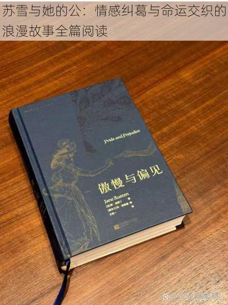 苏雪与她的公：情感纠葛与命运交织的浪漫故事全篇阅读