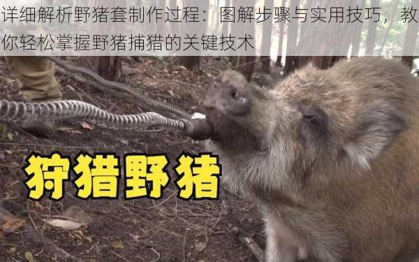 详细解析野猪套制作过程:图解步骤与实用技巧,教你轻松掌握野猪捕猎的关键技术