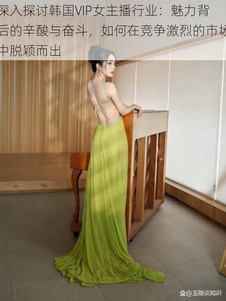 深入探讨韩国VIP女主播行业：魅力背后的辛酸与奋斗，如何在竞争激烈的市场中脱颖而出
