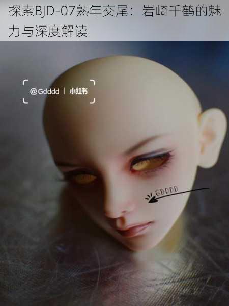 探索BJD-07熟年交尾:岩崎千鹤的魅力与深度解读