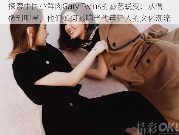 探索中国小鲜肉Gary Twins的影艺蜕变：从偶像到明星，他们如何影响当代年轻人的文化潮流