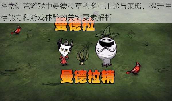 探索饥荒游戏中曼德拉草的多重用途与策略，提升生存能力和游戏体验的关键要素解析