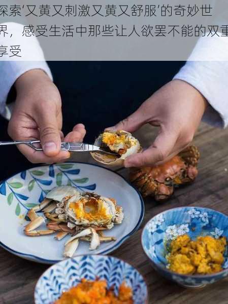 探索‘又黄又刺激又黄又舒服’的奇妙世界,感受生活中那些让人欲罢不能的双重享受