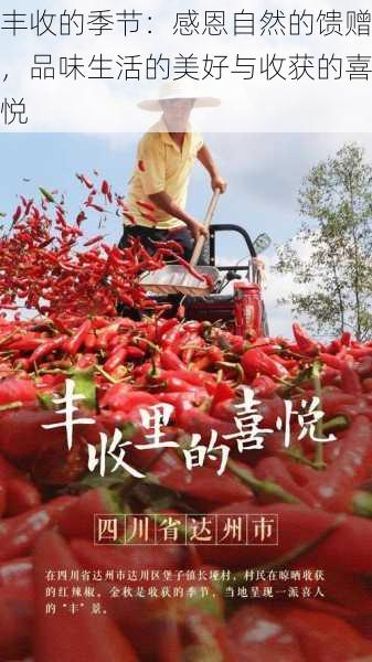丰收的季节：感恩自然的馈赠，品味生活的美好与收获的喜悦