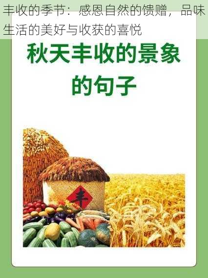 丰收的季节：感恩自然的馈赠，品味生活的美好与收获的喜悦