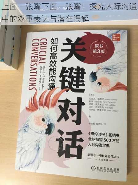 上面一张嘴下面一张嘴:探究人际沟通中的双重表达与潜在误解