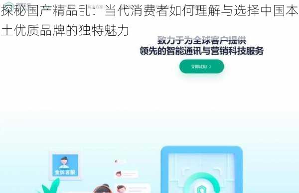 探秘国产精品乱:当代消费者如何理解与选择中国本土优质品牌的独特魅力
