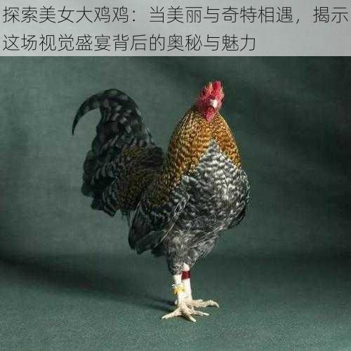 探索美女大鸡鸡:当美丽与奇特相遇,揭示这场视觉盛宴背后的奥秘与魅力