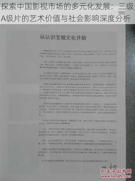 探索中国影视市场的多元化发展：三级A级片的艺术价值与社会影响深度分析