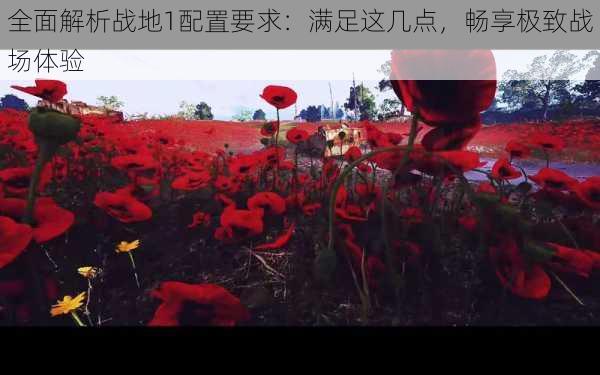全面解析战地1配置要求:满足这几点,畅享极致战场体验