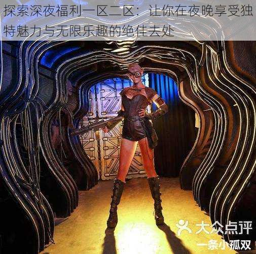 探索深夜福利一区二区：让你在夜晚享受独特魅力与无限乐趣的绝佳去处